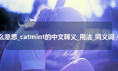catmint是什么意思_catmint的中文释义_用法_同义词_例句_英语短语