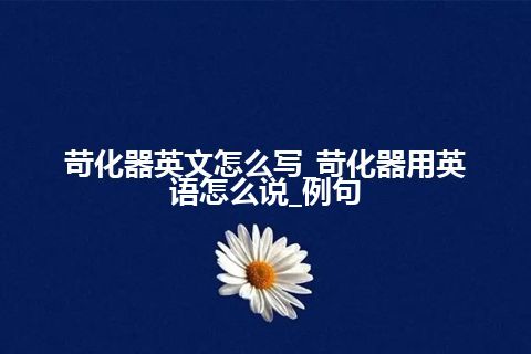 苛化器英文怎么写_苛化器用英语怎么说_例句