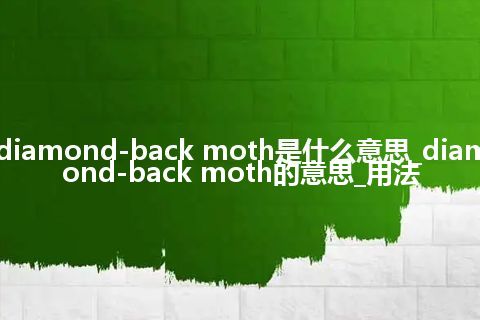diamond-back moth是什么意思_diamond-back moth的意思_用法