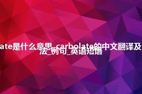 carbolate是什么意思_carbolate的中文翻译及音标_用法_例句_英语短语