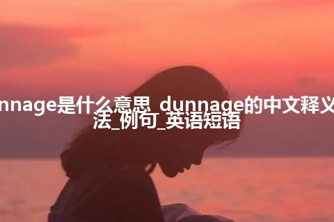 dunnage是什么意思_dunnage的中文释义_用法_例句_英语短语
