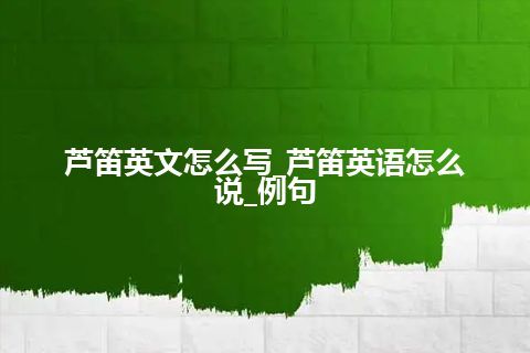 芦笛英文怎么写_芦笛英语怎么说_例句