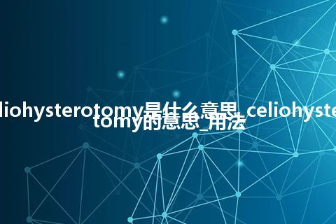 celiohysterotomy是什么意思_celiohysterotomy的意思_用法