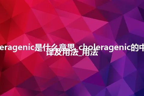 choleragenic是什么意思_choleragenic的中文翻译及用法_用法