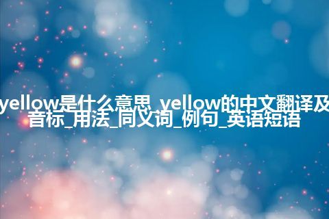 yellow是什么意思_yellow的中文翻译及音标_用法_同义词_例句_英语短语