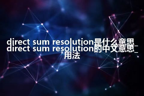 direct sum resolution是什么意思_direct sum resolution的中文意思_用法