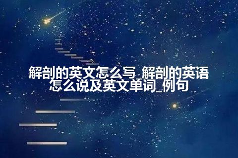 解剖的英文怎么写_解剖的英语怎么说及英文单词_例句