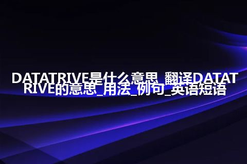DATATRIVE是什么意思_翻译DATATRIVE的意思_用法_例句_英语短语