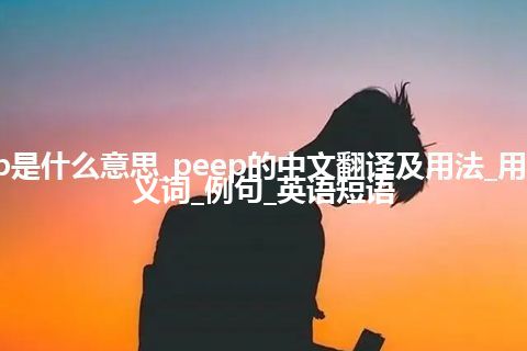 peep是什么意思_peep的中文翻译及用法_用法_同义词_例句_英语短语