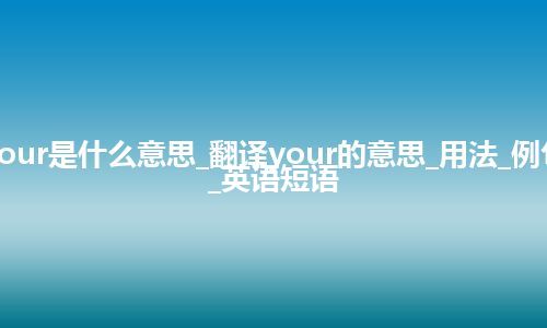 your是什么意思_翻译your的意思_用法_例句_英语短语
