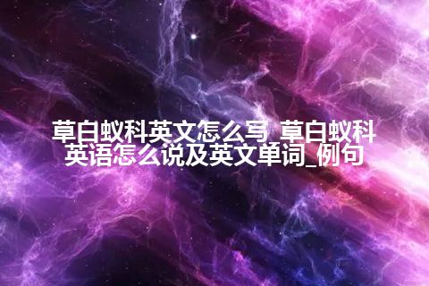 草白蚁科英文怎么写_草白蚁科英语怎么说及英文单词_例句