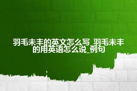 羽毛未丰的英文怎么写_羽毛未丰的用英语怎么说_例句