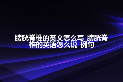 膀胱脊椎的英文怎么写_膀胱脊椎的英语怎么说_例句