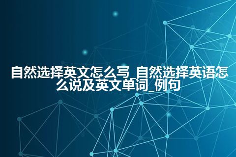 自然选择英文怎么写_自然选择英语怎么说及英文单词_例句