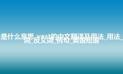 vest是什么意思_vest的中文翻译及用法_用法_同义词_反义词_例句_英语短语