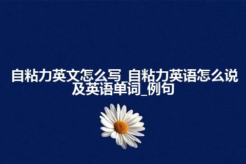 自粘力英文怎么写_自粘力英语怎么说及英语单词_例句