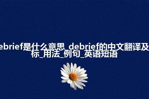 debrief是什么意思_debrief的中文翻译及音标_用法_例句_英语短语