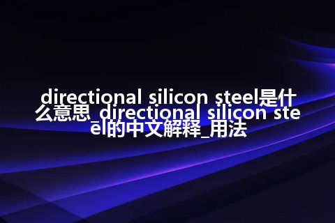 directional silicon steel是什么意思_directional silicon steel的中文解释_用法