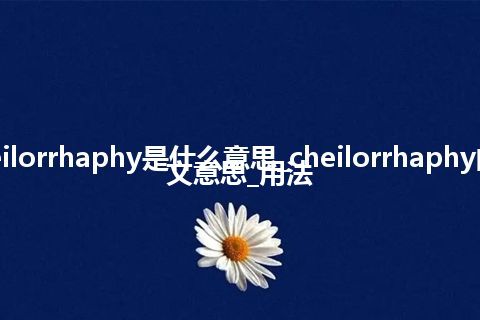 cheilorrhaphy是什么意思_cheilorrhaphy的中文意思_用法