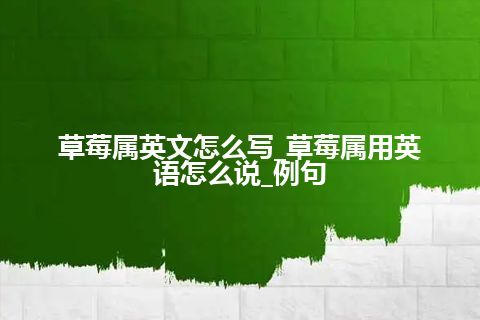 草莓属英文怎么写_草莓属用英语怎么说_例句