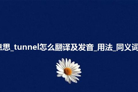 tunnel是什么意思_tunnel怎么翻译及发音_用法_同义词_例句_英语短语