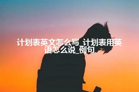 计划表英文怎么写_计划表用英语怎么说_例句