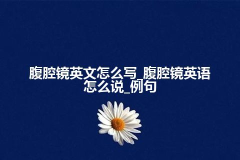 腹腔镜英文怎么写_腹腔镜英语怎么说_例句