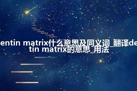 dentin matrix什么意思及同义词_翻译dentin matrix的意思_用法
