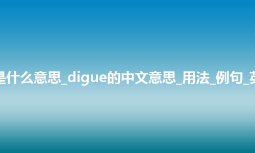 digue是什么意思_digue的中文意思_用法_例句_英语短语