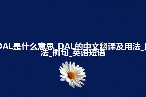 DAL是什么意思_DAL的中文翻译及用法_用法_例句_英语短语