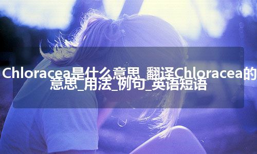 Chloracea是什么意思_翻译Chloracea的意思_用法_例句_英语短语