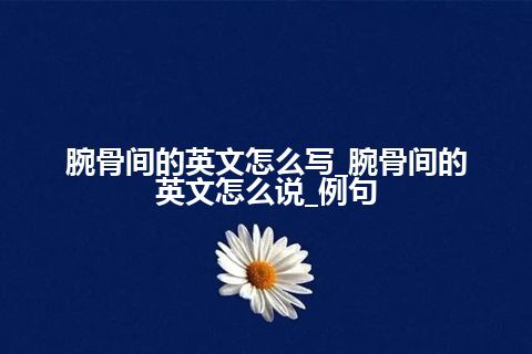 腕骨间的英文怎么写_腕骨间的英文怎么说_例句