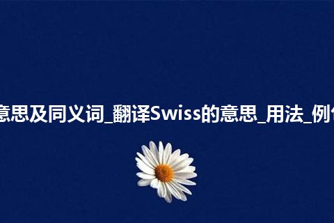 Swiss什么意思及同义词_翻译Swiss的意思_用法_例句_英语短语