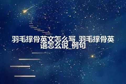 羽毛撑骨英文怎么写_羽毛撑骨英语怎么说_例句