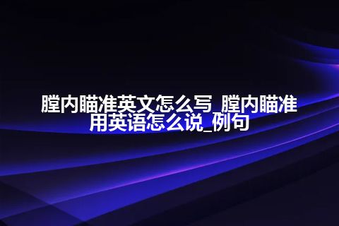膛内瞄准英文怎么写_膛内瞄准用英语怎么说_例句