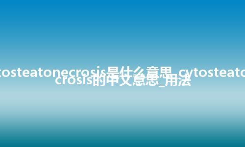 cytosteatonecrosis是什么意思_cytosteatonecrosis的中文意思_用法