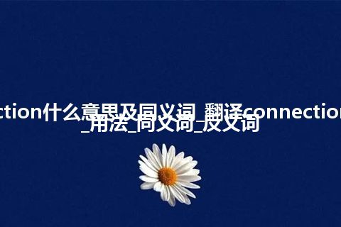 connection什么意思及同义词_翻译connection的意思_用法_同义词_反义词
