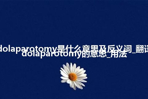 cystidolaparotomy是什么意思及反义词_翻译cystidolaparotomy的意思_用法