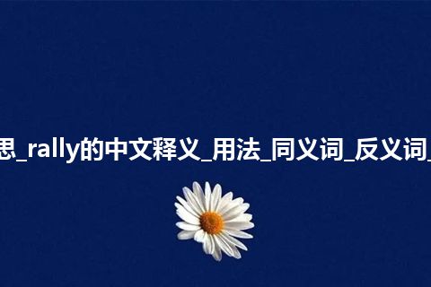 rally是什么意思_rally的中文释义_用法_同义词_反义词_例句_英语短语