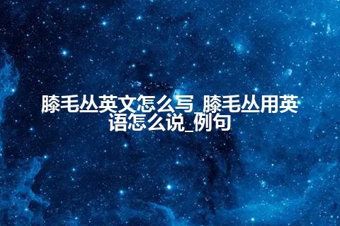膝毛丛英文怎么写_膝毛丛用英语怎么说_例句