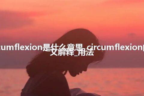 circumflexion是什么意思_circumflexion的中文解释_用法