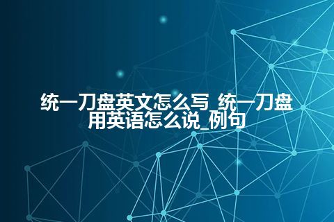 统一刀盘英文怎么写_统一刀盘用英语怎么说_例句