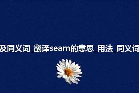 seam什么意思及同义词_翻译seam的意思_用法_同义词_例句_英语短语