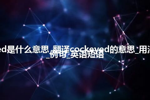 cockeyed是什么意思_翻译cockeyed的意思_用法_同义词_例句_英语短语