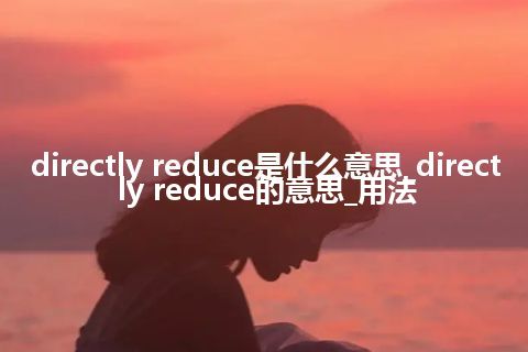directly reduce是什么意思_directly reduce的意思_用法