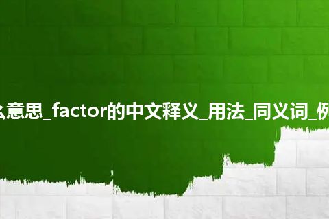 factor是什么意思_factor的中文释义_用法_同义词_例句_英语短语