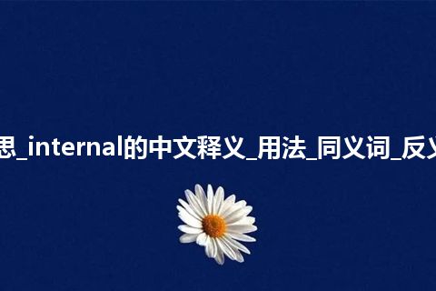 internal是什么意思_internal的中文释义_用法_同义词_反义词_例句_英语短语