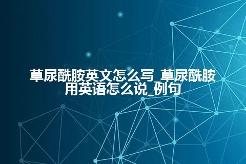 草尿酰胺英文怎么写_草尿酰胺用英语怎么说_例句