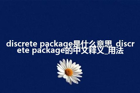 discrete package是什么意思_discrete package的中文释义_用法