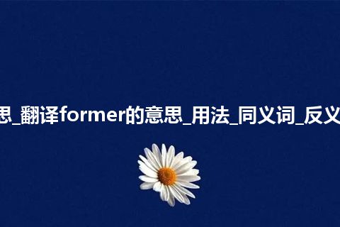 former是什么意思_翻译former的意思_用法_同义词_反义词_例句_英语短语